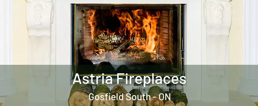  Astria Fireplaces Gosfield South - ON