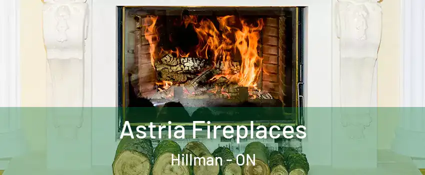  Astria Fireplaces Hillman - ON