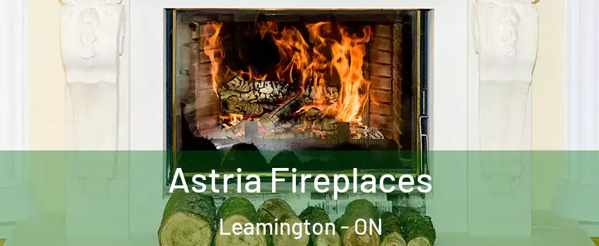  Astria Fireplaces Leamington - ON