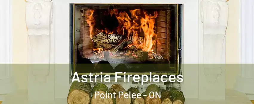  Astria Fireplaces Point Pelee - ON