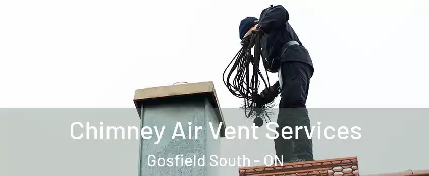  Chimney Air Vent Services Gosfield South - ON