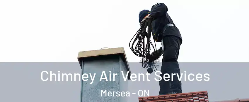  Chimney Air Vent Services Mersea - ON