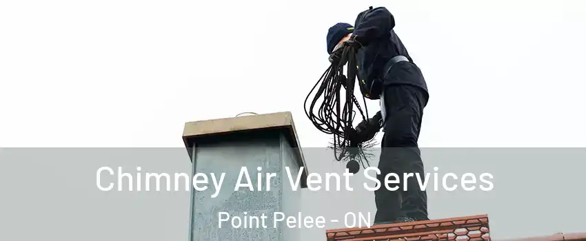  Chimney Air Vent Services Point Pelee - ON