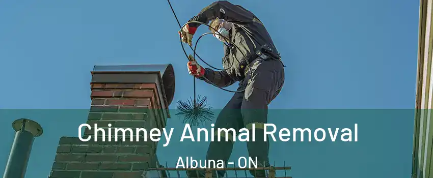 Chimney Animal Removal Albuna - ON