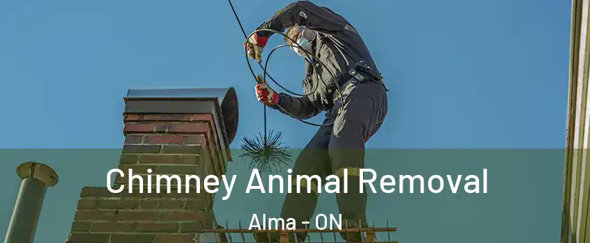  Chimney Animal Removal Alma - ON