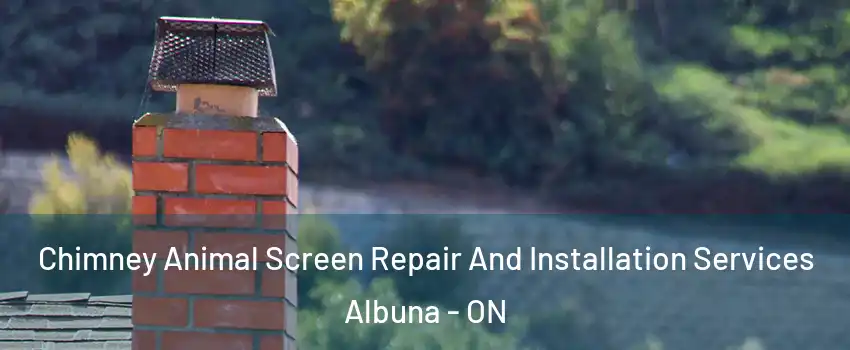  Chimney Animal Screen Repair And Installation Services Albuna - ON