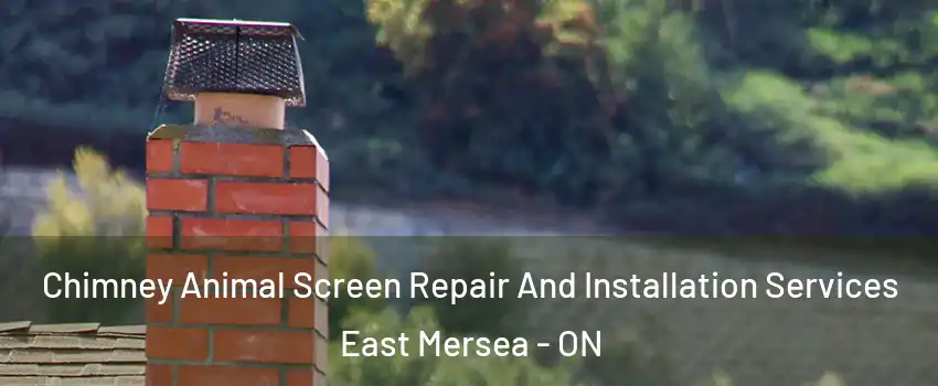  Chimney Animal Screen Repair And Installation Services East Mersea - ON