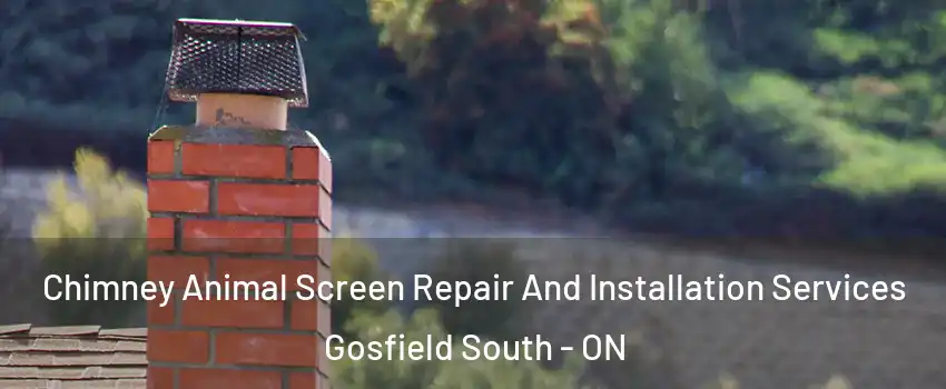  Chimney Animal Screen Repair And Installation Services Gosfield South - ON