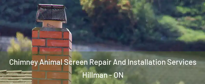  Chimney Animal Screen Repair And Installation Services Hillman - ON
