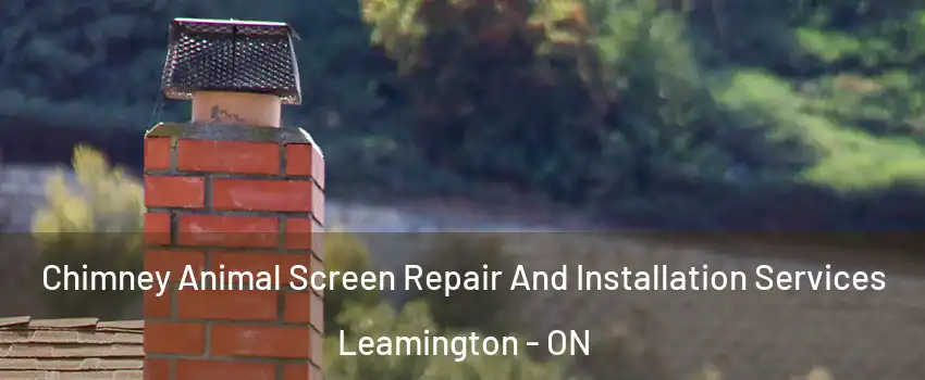 Chimney Animal Screen Repair And Installation Services Leamington - ON