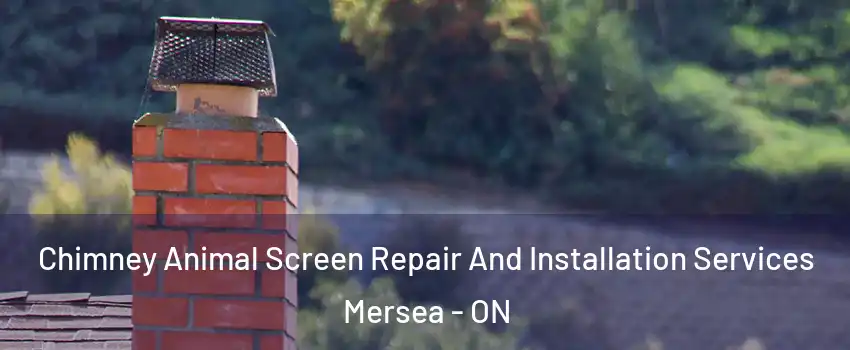  Chimney Animal Screen Repair And Installation Services Mersea - ON