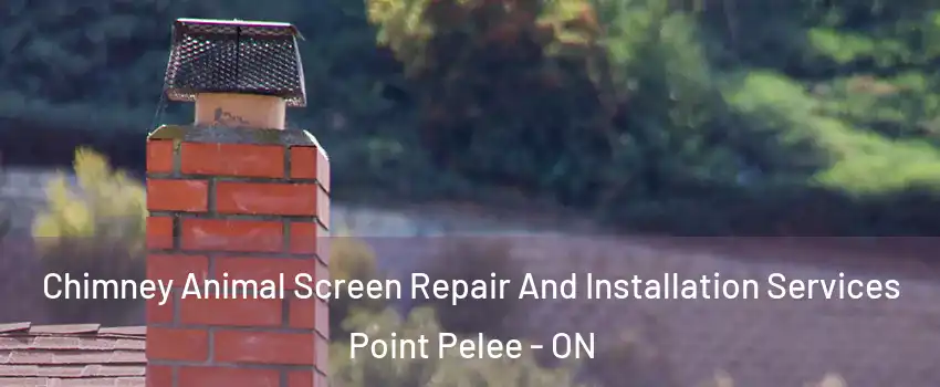  Chimney Animal Screen Repair And Installation Services Point Pelee - ON