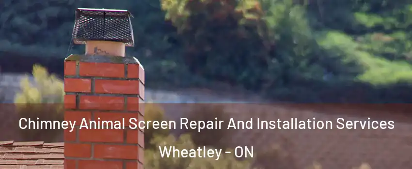  Chimney Animal Screen Repair And Installation Services Wheatley - ON