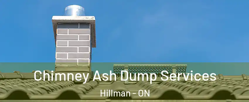  Chimney Ash Dump Services Hillman - ON