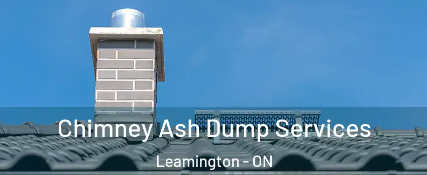  Chimney Ash Dump Services Leamington - ON