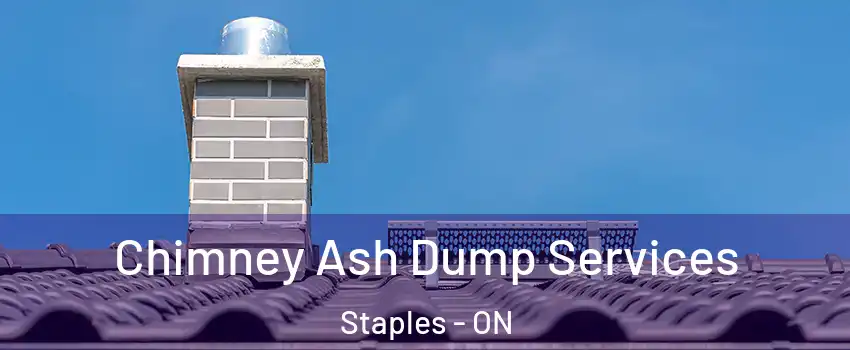  Chimney Ash Dump Services Staples - ON
