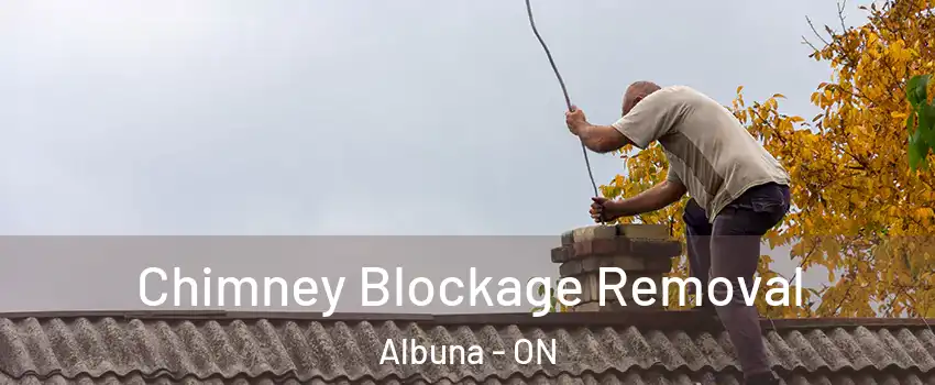  Chimney Blockage Removal Albuna - ON