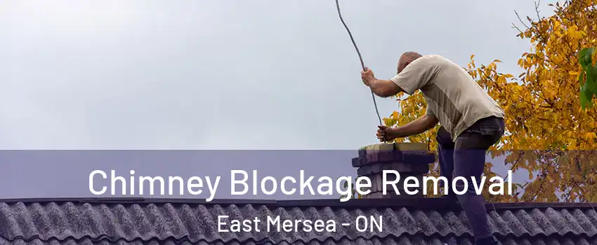  Chimney Blockage Removal East Mersea - ON