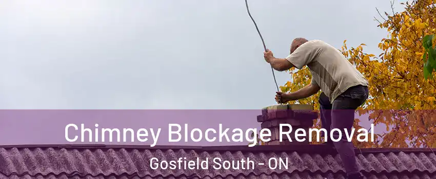  Chimney Blockage Removal Gosfield South - ON