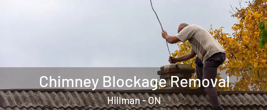  Chimney Blockage Removal Hillman - ON
