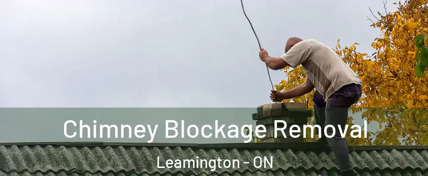  Chimney Blockage Removal Leamington - ON