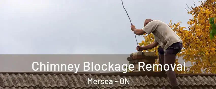  Chimney Blockage Removal Mersea - ON