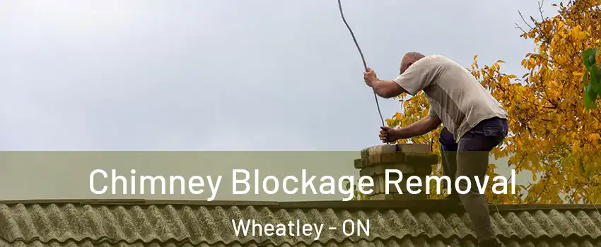  Chimney Blockage Removal Wheatley - ON