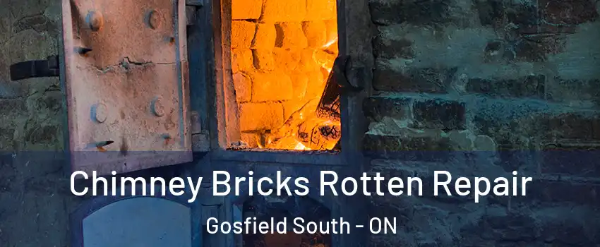  Chimney Bricks Rotten Repair Gosfield South - ON