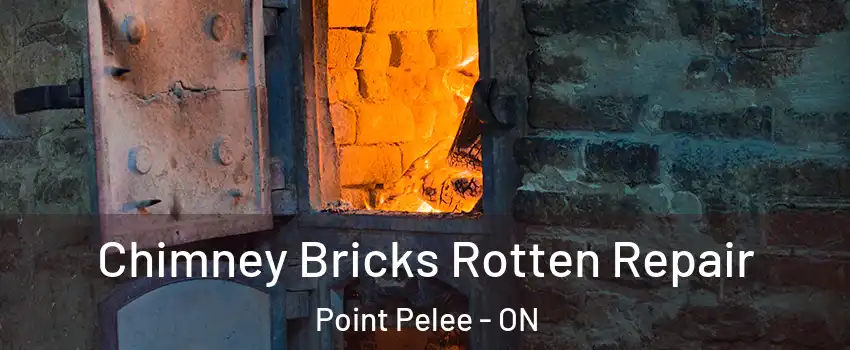  Chimney Bricks Rotten Repair Point Pelee - ON