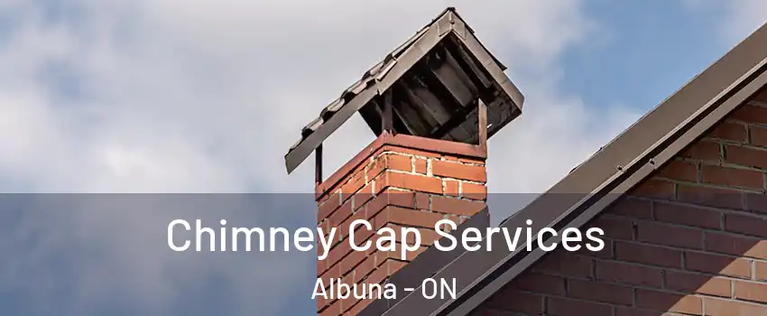  Chimney Cap Services Albuna - ON