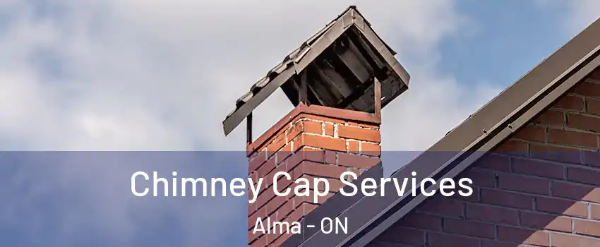  Chimney Cap Services Alma - ON
