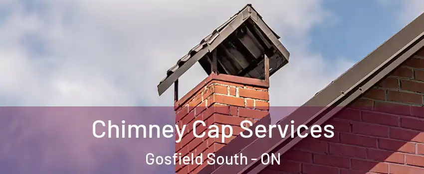  Chimney Cap Services Gosfield South - ON