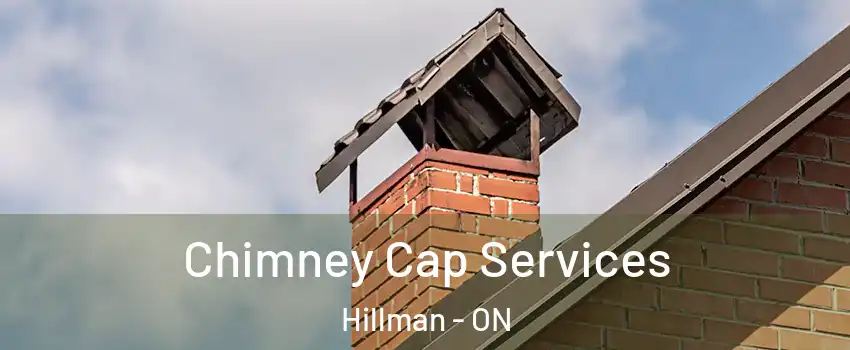  Chimney Cap Services Hillman - ON