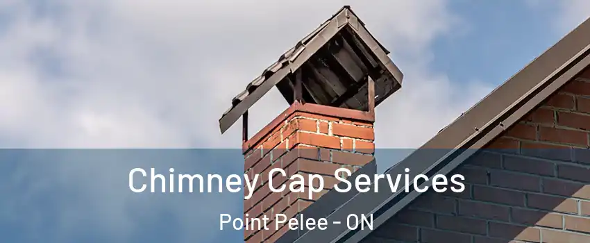  Chimney Cap Services Point Pelee - ON