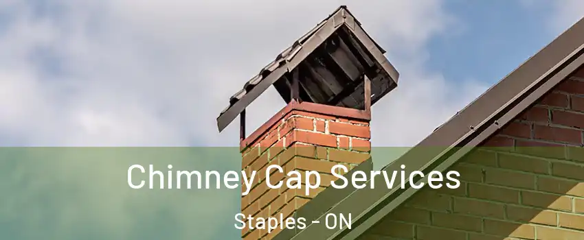  Chimney Cap Services Staples - ON