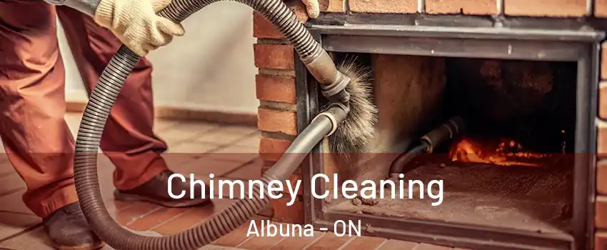  Chimney Cleaning Albuna - ON