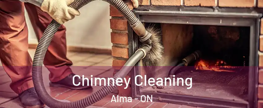  Chimney Cleaning Alma - ON