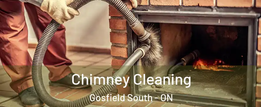  Chimney Cleaning Gosfield South - ON