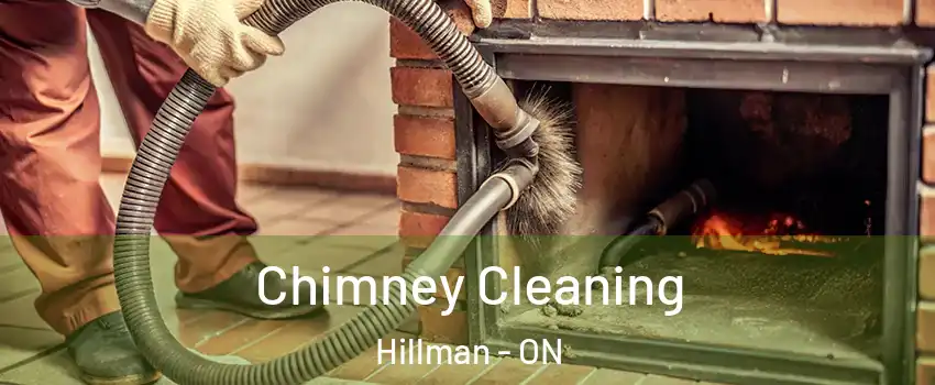  Chimney Cleaning Hillman - ON