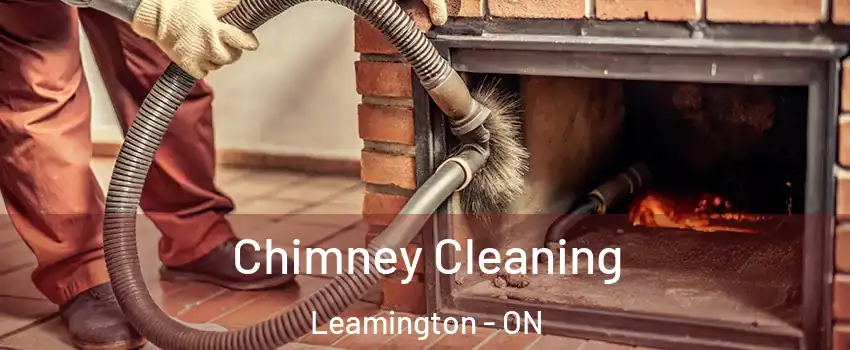  Chimney Cleaning Leamington - ON