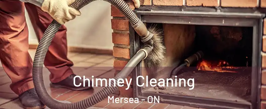  Chimney Cleaning Mersea - ON