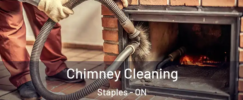  Chimney Cleaning Staples - ON