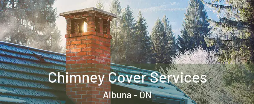  Chimney Cover Services Albuna - ON