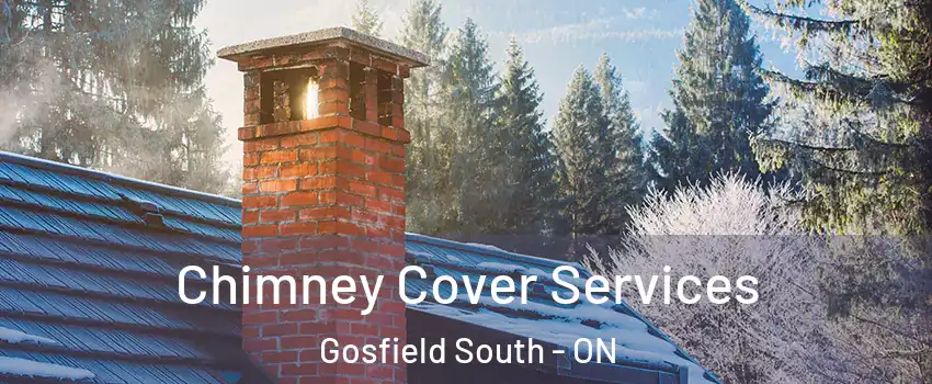  Chimney Cover Services Gosfield South - ON