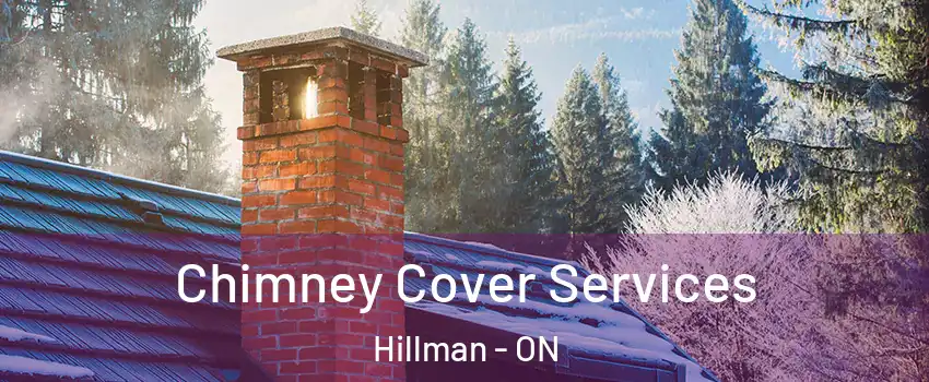  Chimney Cover Services Hillman - ON
