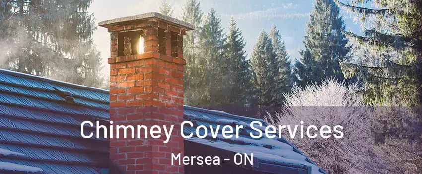  Chimney Cover Services Mersea - ON