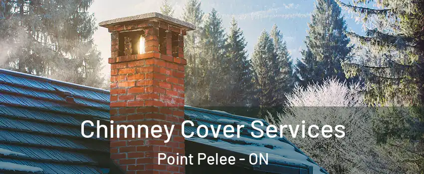  Chimney Cover Services Point Pelee - ON