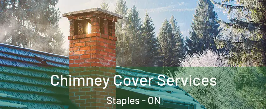  Chimney Cover Services Staples - ON
