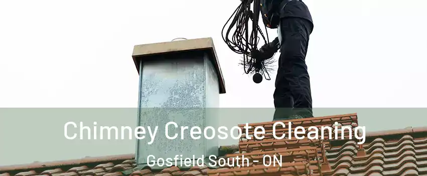 Chimney Creosote Cleaning Gosfield South - ON