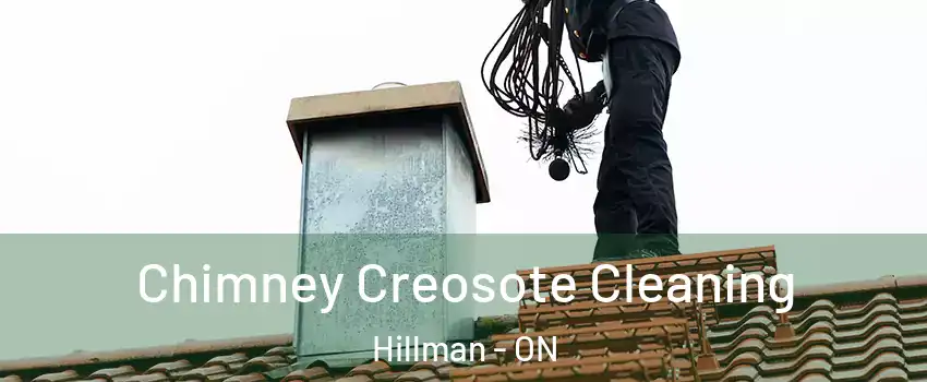  Chimney Creosote Cleaning Hillman - ON